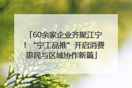 60余家企业齐聚江宁！“宁工品推”开启消费惠民与区域协作新篇