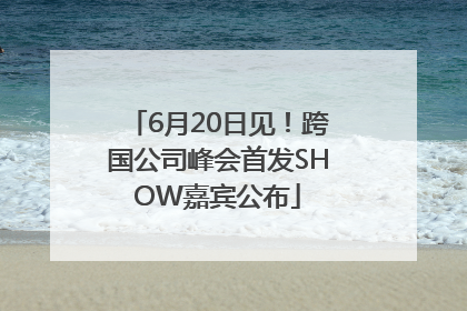 6月20日见！跨国公司峰会首发SHOW嘉宾公布