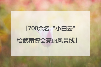 700余名“小白云”绘就南博会亮丽风景线