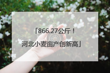 866.27公斤！河北小麦亩产创新高