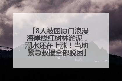 8人被困厦门浪漫海岸线红树林淤泥，潮水还在上涨！当地紧急救援全部脱困