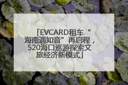 EVCARD租车“海南遇知音”再启程，520海口巡游探索文旅经济新模式
