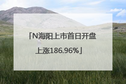 N海阳上市首日开盘上涨186.96%