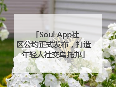 Soul App社区公约正式发布，打造年轻人社交乌托邦