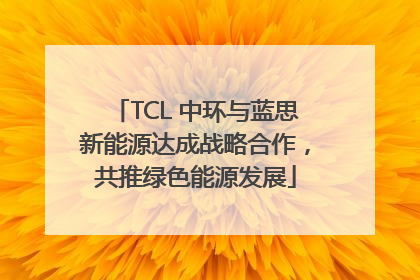 TCL 中环与蓝思新能源达成战略合作，共推绿色能源发展